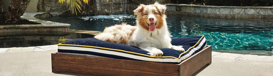 Petco outdoor best sale dog bed