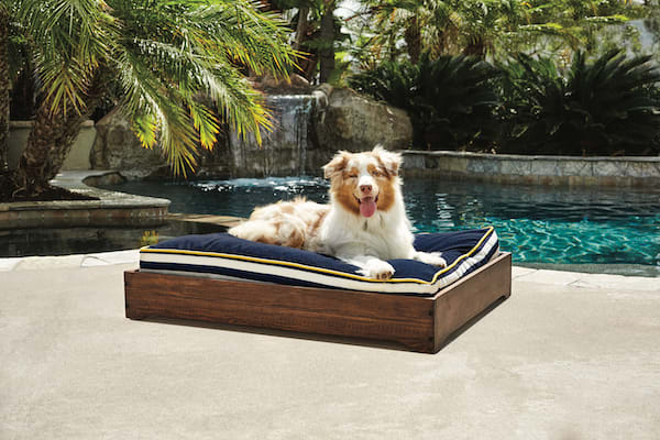 outdoor dog mat