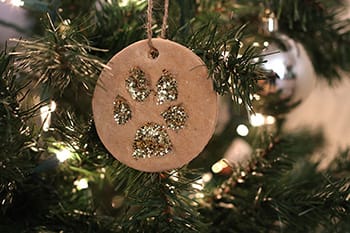 DIY Paw Print Ornament Petco