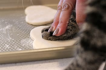 cat paw pressing into dough image