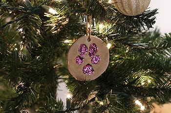 hanging paw ornament image