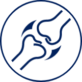 Icon of two bones connected by joints.