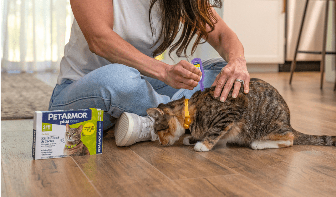 Image of woman administering flea and tick shots to a cat.