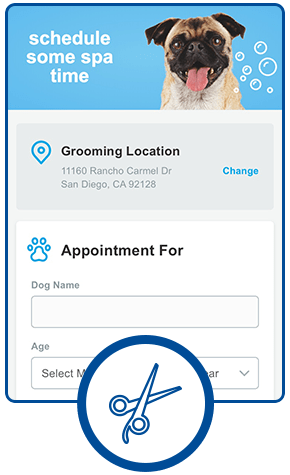 petco grooming services