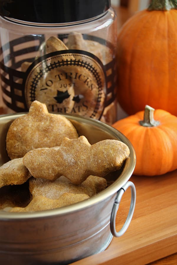 Halloween DIY dog treats