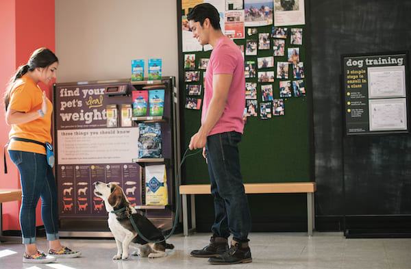 petco puppy training