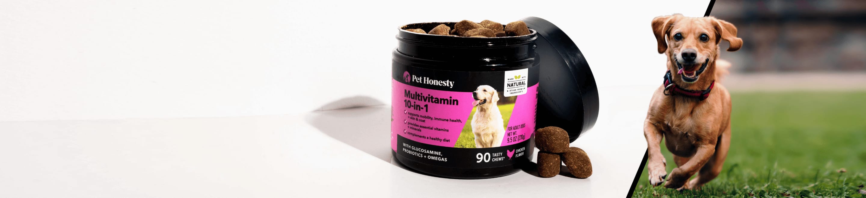 Pack shot of a multivitamin and a dog running in the grass.