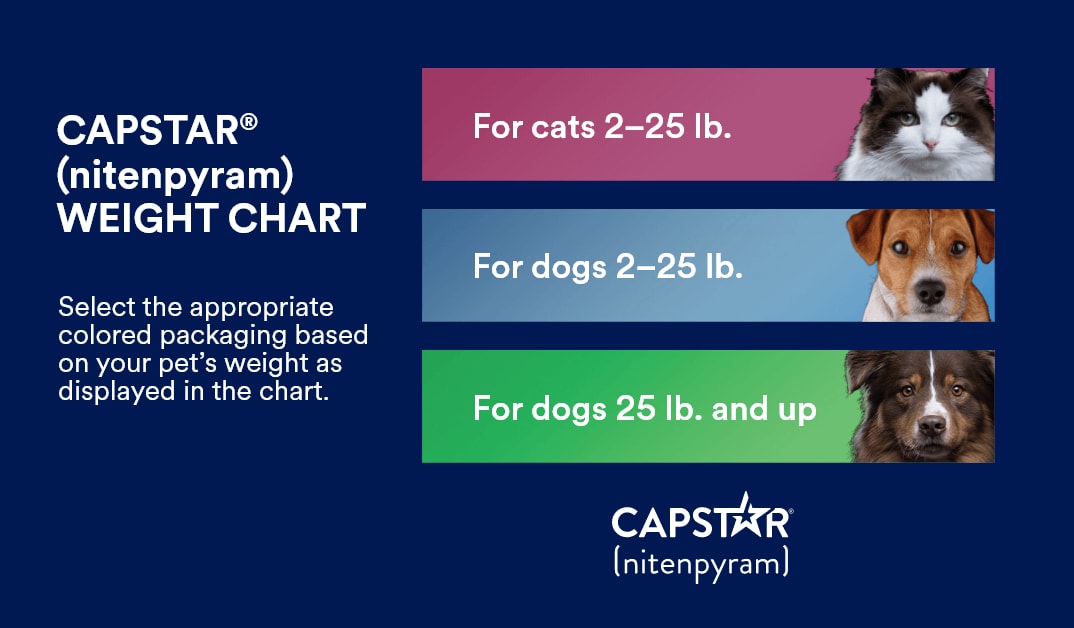 Petco Capstar