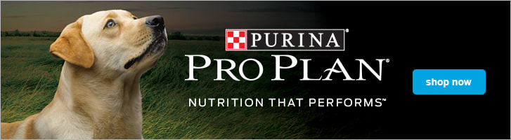 purina pro plan dog food petco