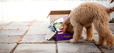 petco new puppy coupons