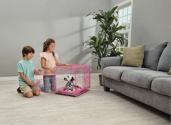 puppy in pink kennel