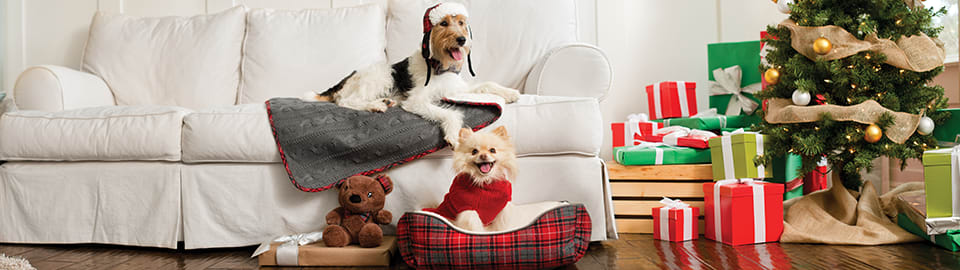dogs holiday banner