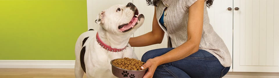 petco dehydrated dog food