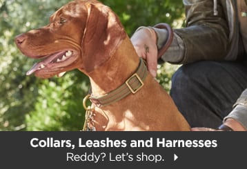 Collars, Leashes & Harnesses. Reddy? Let's shop.