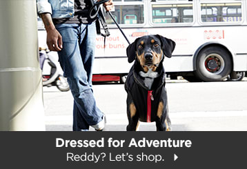 Dressed for Adventure. Reddy? Let's shop.