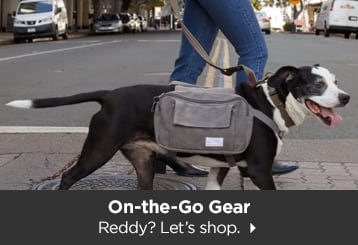 On-the-Go Gear. Reddy? Let's shop.
