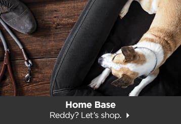 Home Base. Reddy? Let's shop.