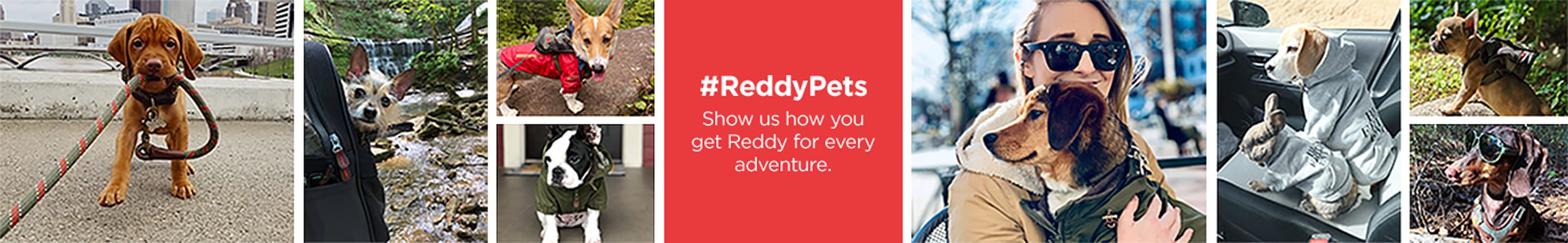 #ReddyPets. Show us how you get Reddy for every adventure.
