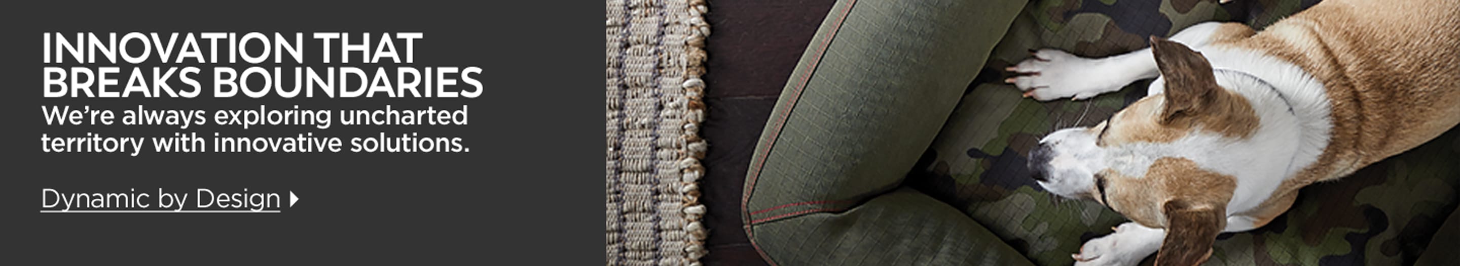 Innovation That Breaks Boundaries. We're always exploring uncharted territory with innovative solutions. Dynamic by Design.