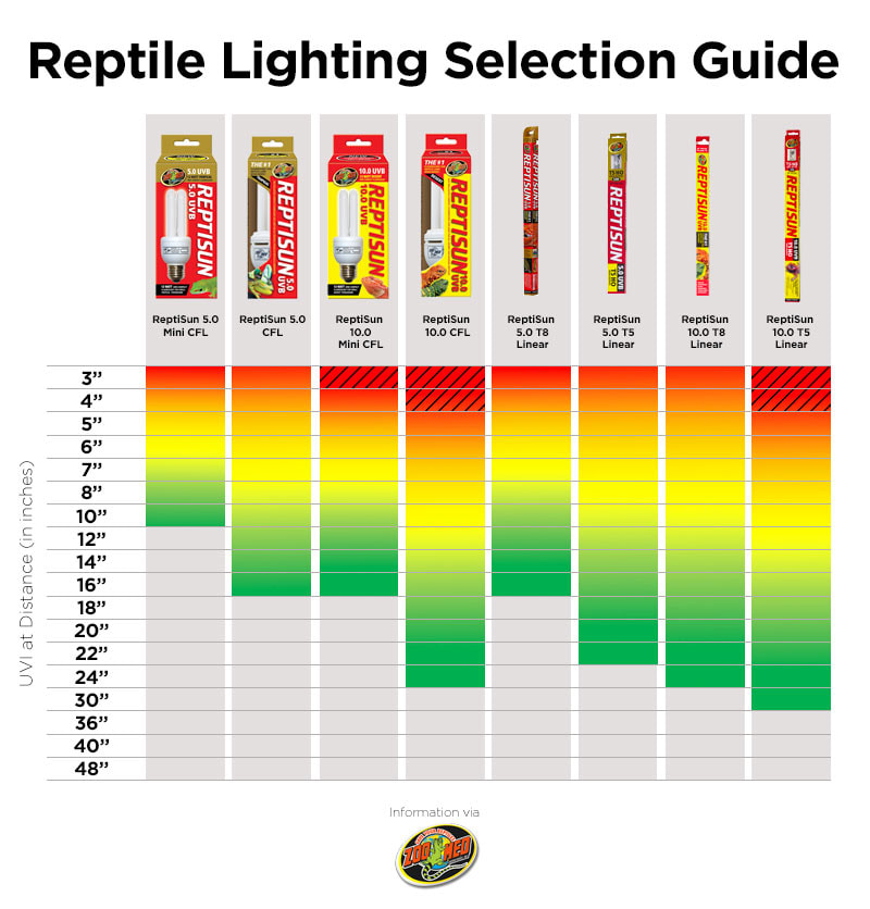 Reptile uvb sale lights