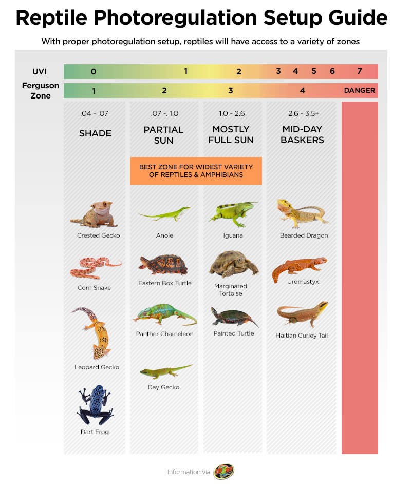 Uv lamp for store reptiles