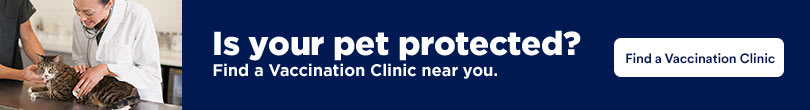 petco shot clinic hours