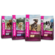 Assorted wet food in cans
