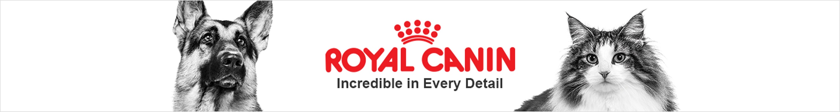 Royal Canin Cat & Dog Food: Day Delivery | Petco