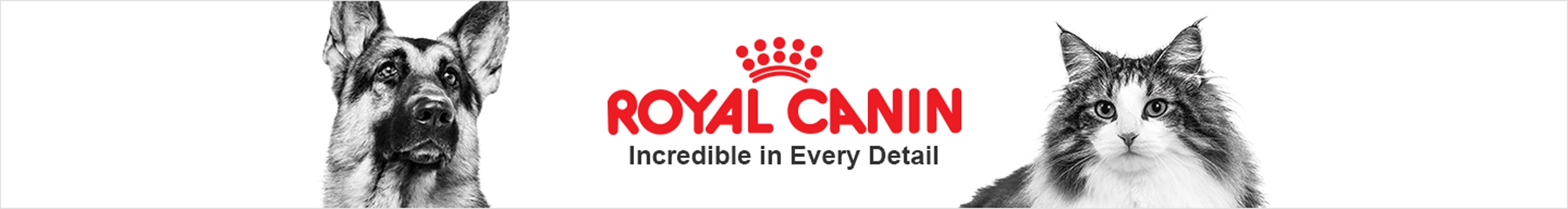 Royal Canin Cat Dog Food Same Day Delivery Petco