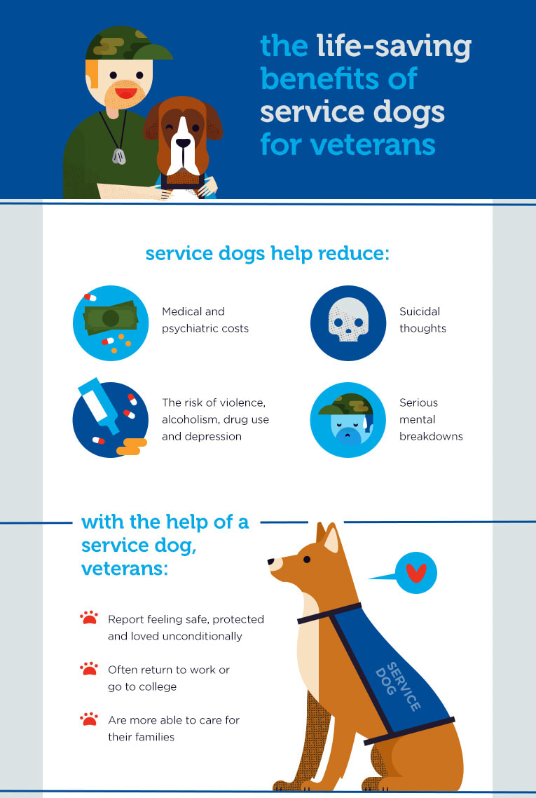 Life saving benefits of service dogs for veterans