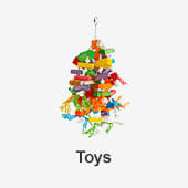 Bird Toys