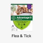Cat Flea & Tick