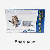 Cat Pharmacy