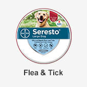 Dog Flea & Tick