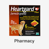 Dog Pharmacy