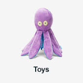 Dog Toys