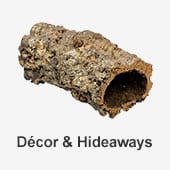 Reptile Decor & Hideaways