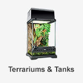 Terrariums & Tanks