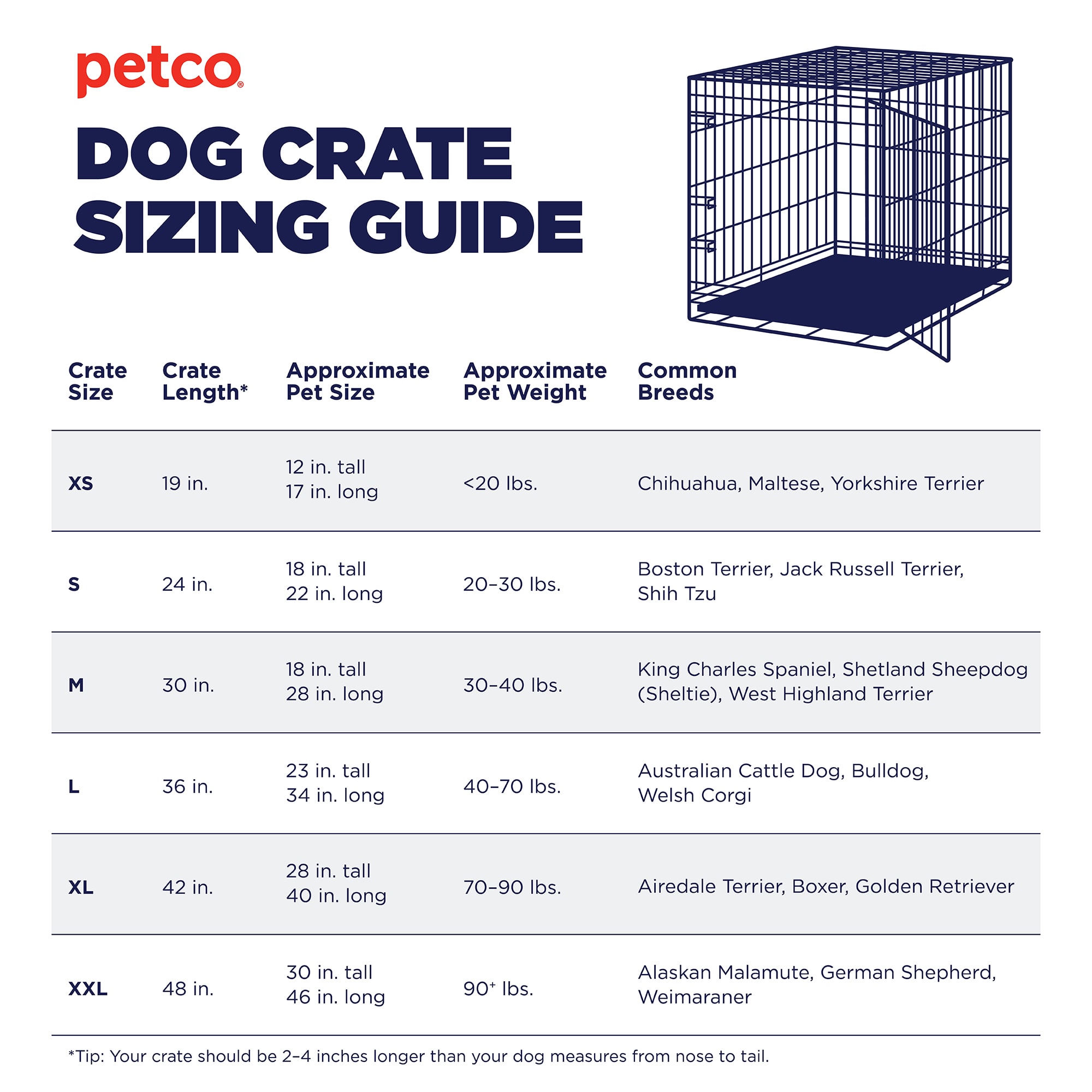dog travel crate size