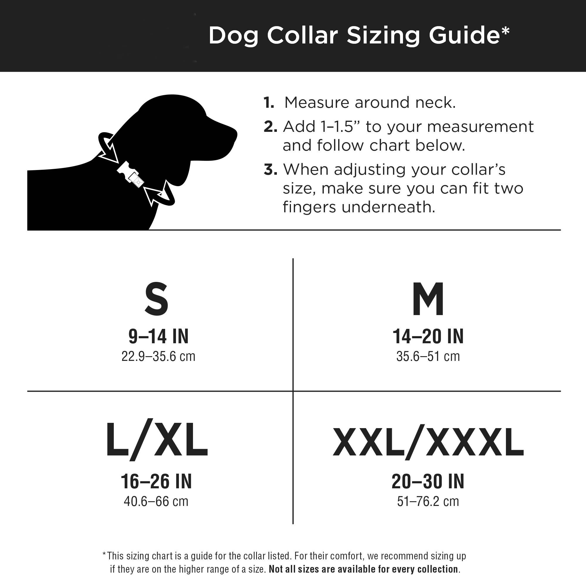 skechers bobs dog collar