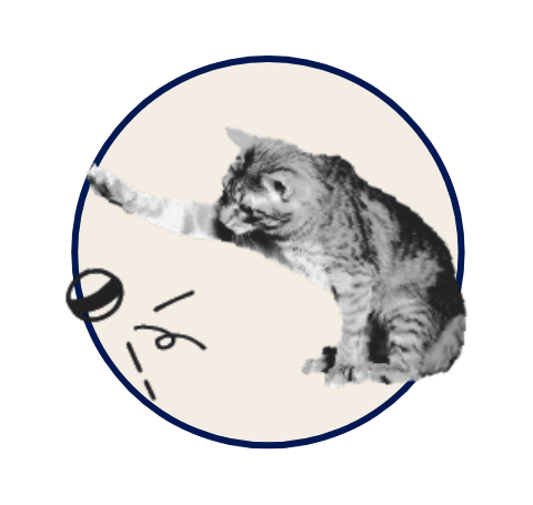 A cat playing with a ball.