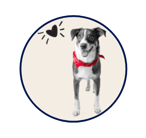 A dog with a red bandana standing with a floating heart to the left of them.