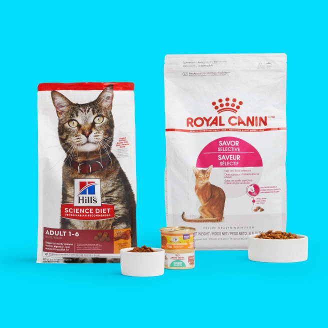 The best clearance dry kitten food