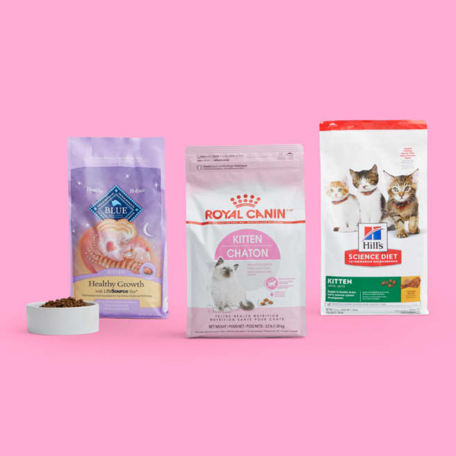 Best Cat Food According to Customer Reviews Petco