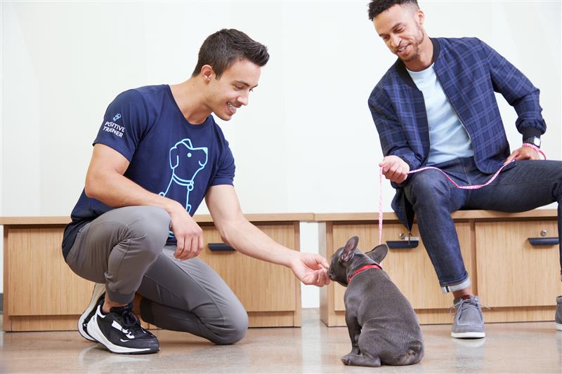 Petco Dog & Puppy Training Classes | Petco