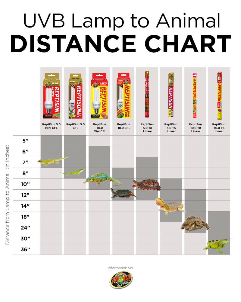 Uv lamp hotsell for reptiles