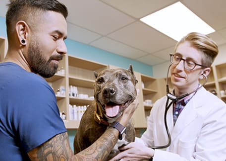 petco vet clinic