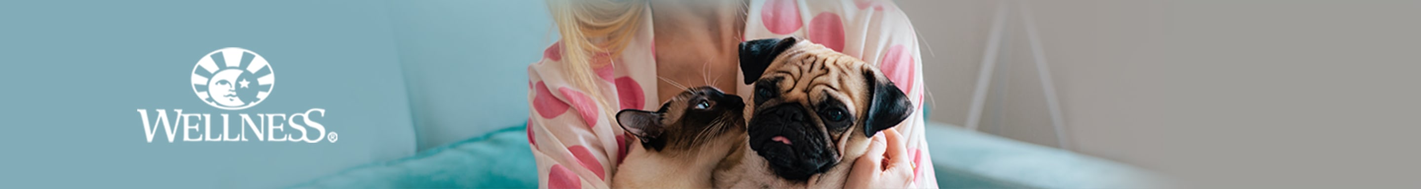 petco wellness cat food