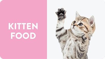 Kitten Food.