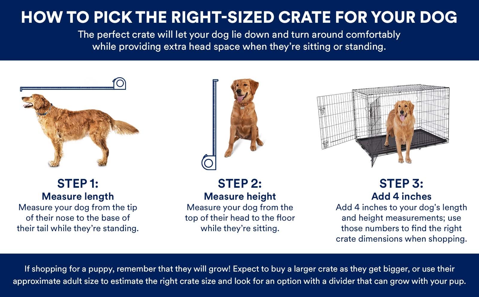 Medium size shop dog kennel dimensions